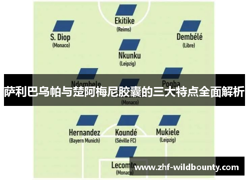 萨利巴乌帕与楚阿梅尼胶囊的三大特点全面解析