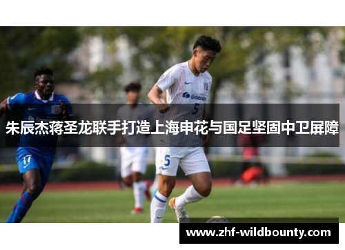 朱辰杰蒋圣龙联手打造上海申花与国足坚固中卫屏障