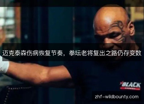 迈克泰森伤病恢复节奏,拳坛老将复出之路仍存变数 迈克泰森伤病恢复节奏,拳坛老将复出之路仍存变数
